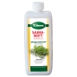 Preview: Minzige Herbfrische