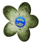 Preview: Water Lily