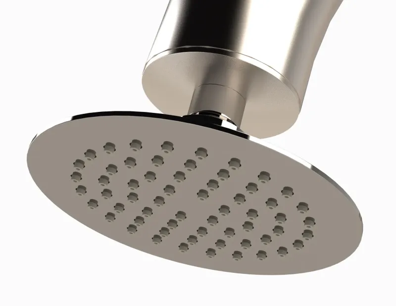 Duschkopf mit Kugelgelenk