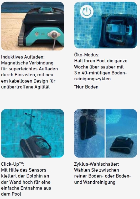 Dolphin Liberty 300 - mit PVC-Bürsten und Ladegerät