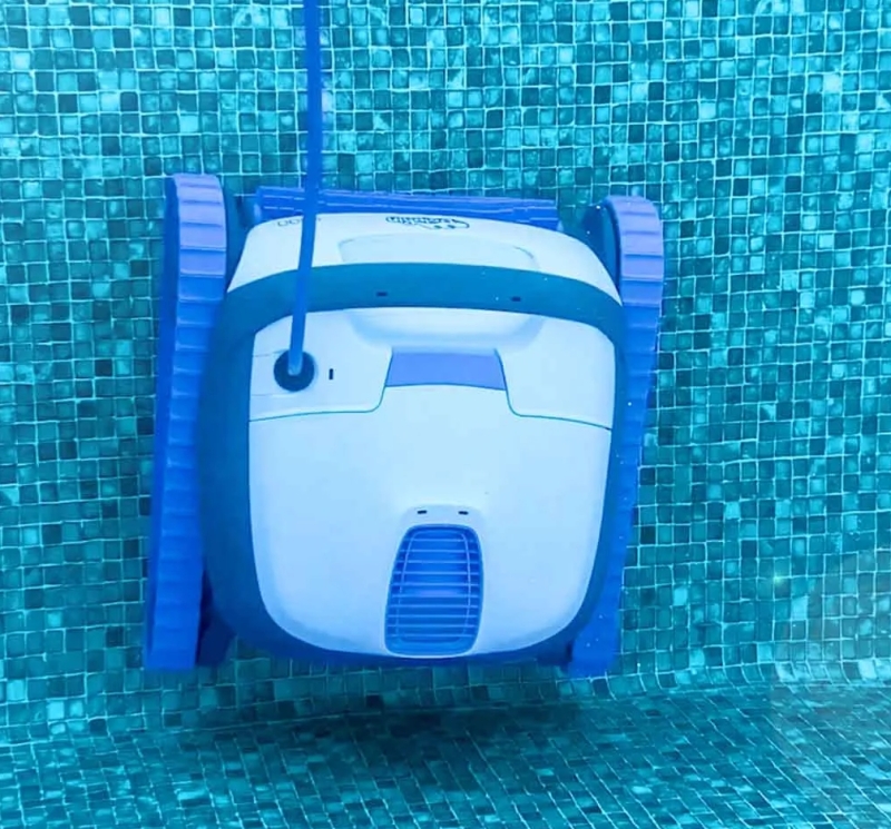 Dolphin S100 mit PVC-Bürsten